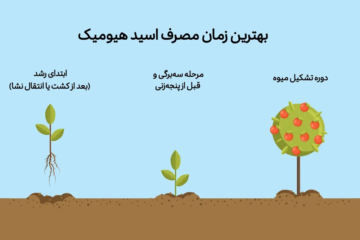 بهترین زمان مصرف هیومیک اسید
