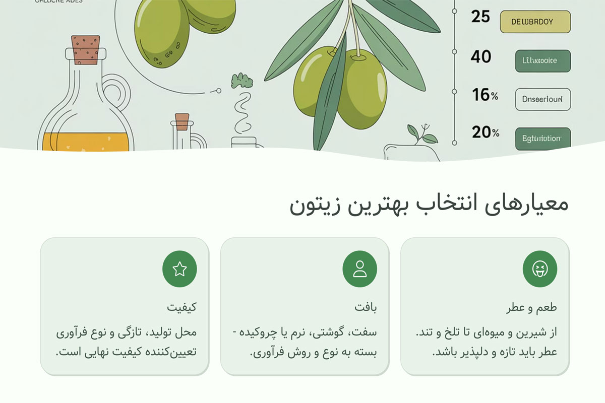 بهترین زیتون دنیا | راهنمای انتخاب طعم و کیفیت 2025