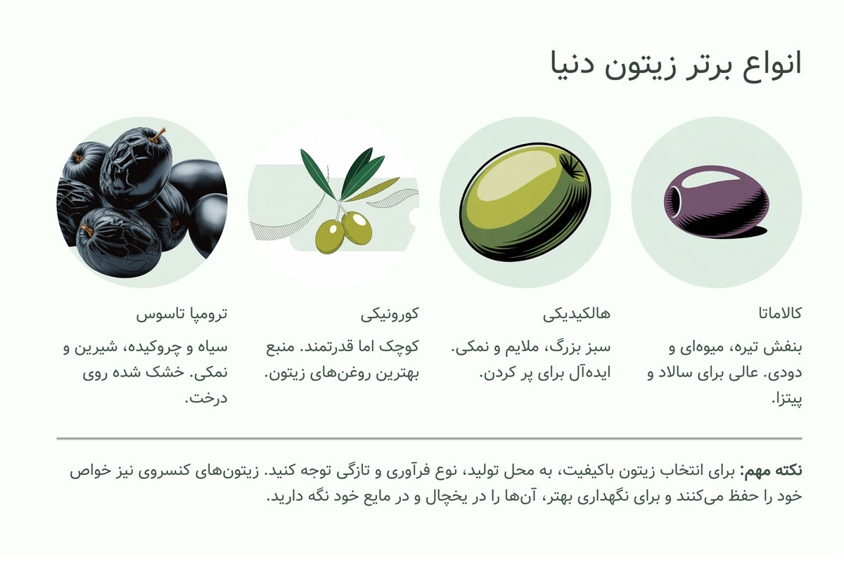 سایر انواع زیتون (اشاره مختصر)