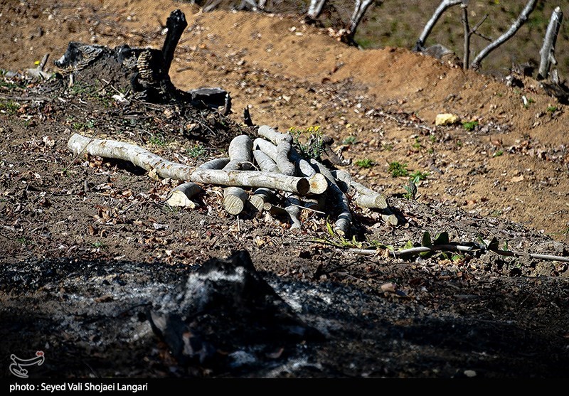 اخبار استان مازندران , اخبار ساری , 