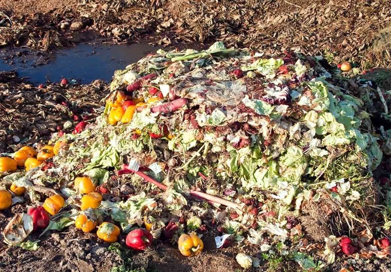 مافیای خرید و فروش ضایعات در خراسان شمالی/ بساط «مالخرها» جمع میشود؟ قوه قضائیه , اخبار استان خراسان شمالی ,