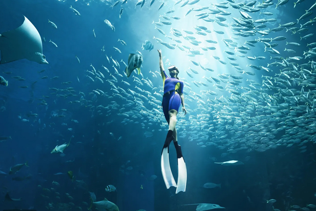 خدمات رایگان هتل - معرفی خدمات 13 هتل داخلی و خارجی ورودی آکواریوم رایگان از خدمات هتل آتلانتیس دبی