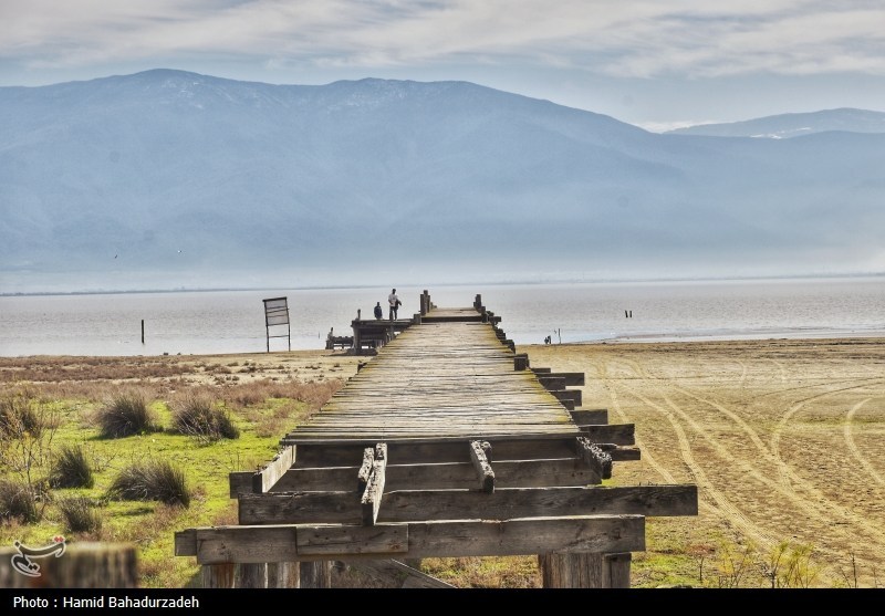 کوچ اجباری از دل خزر؛ سرنوشت تلخ ساکنان جزیره آشوراده چه شد؟ اخبار استان گلستان , گردشگری , فراکسیون محیط زیست مجلس ,
