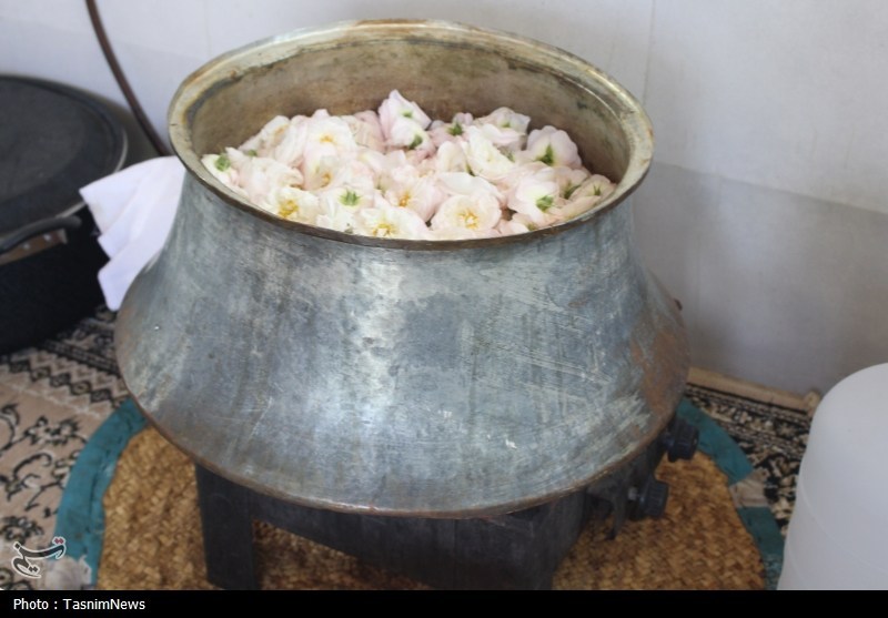 اخبار استان گیلان , نظام مسائل استان گیلان , تولید؛ دانش بنیان، اشتغال آفرین , 