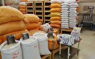 برنج پاکستانی هم قیمت برنج ایرانی شد