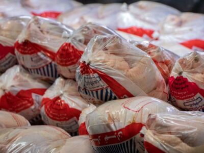 ترخیص ۲۴۰ تن مرغ منجمد از گمرک به همت دادستانی تهران