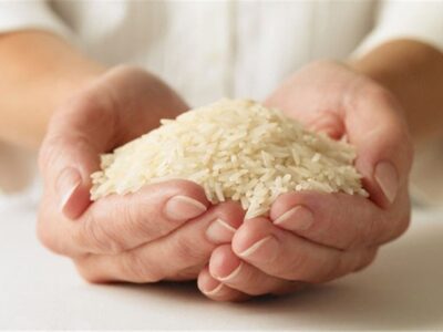 خرید توافقی برنج مازاد کشاورزان آغاز شد