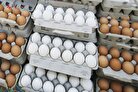 قیمت تخم مرغ امروز ۲ مرداد ۱۴۰۲ + جدول