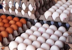 قیمت تخم مرغ امروز ۲۸ تیر ۱۴۰۲