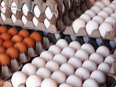 قیمت تخم مرغ امروز ۲۸ تیر ۱۴۰۲