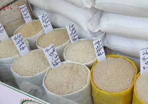قیمت نجومی برنج ایرانی / برنج پاکستانی کیلویی ۷۲ هزار تومانی