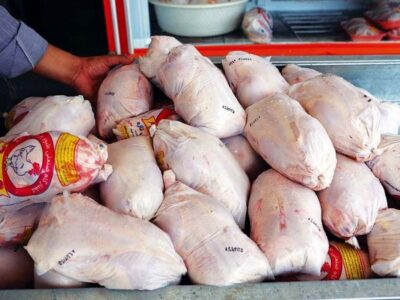 مرغ ۱۲۰هزار تومانی را ۷۳هزار تومان از تولیدکننده می‌خرند!