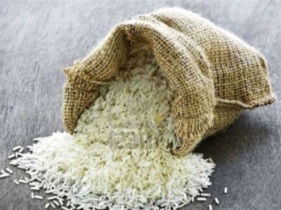 ممنوعیت فصلی واردات برنج پابرجاست / شایعه لغو ممنوعیت واردات به بازار برنج آسیب می‌زند