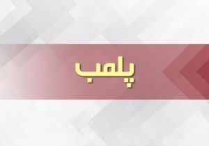 ۲۰ واحد صنفی متخلف در اسلامشهر پلمب شد