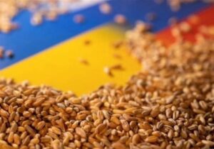 ۵ کشور اتحادیه اروپا خواستار تمدید ممنوعیت غلات اوکراین شدند