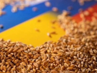 ۵ کشور اتحادیه اروپا خواستار تمدید ممنوعیت غلات اوکراین شدند