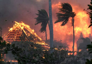 جان‌باختگان آتش‌سوزی‌ هاوایی به ۹۳ نفر رسید!