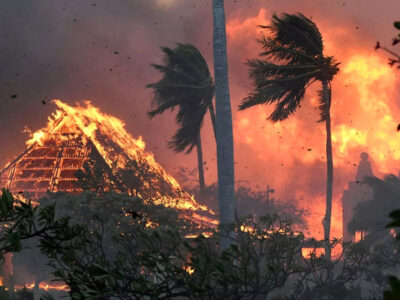 جان‌باختگان آتش‌سوزی‌ هاوایی به ۹۳ نفر رسید!