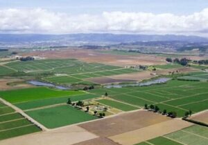 رئیس سازمان ثبت اسناد: ۷۰ درصد اراضی کشاورزی تا پایان سال سنددار می‌شود