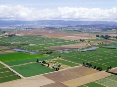 رئیس سازمان ثبت اسناد: ۷۰ درصد اراضی کشاورزی تا پایان سال سنددار می‌شود