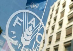 فائو: سوء تغذیه در ایران کم شد/ بهبود ۱۲ پله ای رتبه ایران در رده بندی جهانی