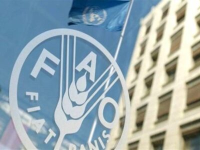فائو: سوء تغذیه در ایران کم شد/ بهبود ۱۲ پله ای رتبه ایران در رده بندی جهانی