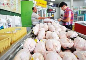 قیمت گوشت مرغ امروز ۱۲ مرداد ۱۴۰۲