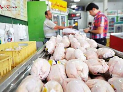 قیمت گوشت مرغ امروز ۱۲ مرداد ۱۴۰۲