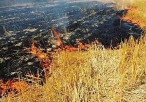 مهار آتش در روستای «کمند» فیروزکوه