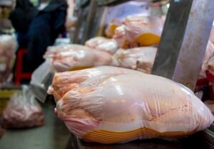 کاهش سود بازرگانی گوشت مرغ از ۱۱ به صفر درصد
