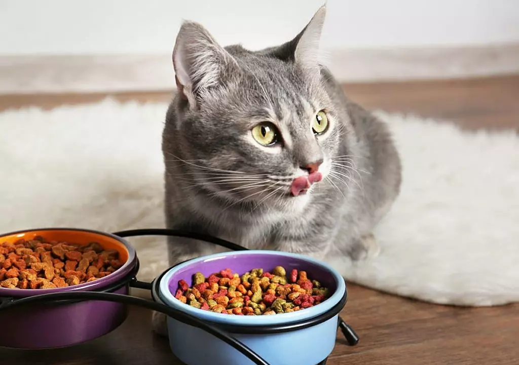 تحلیل اجزای تشکیل دهنده غذای گربه