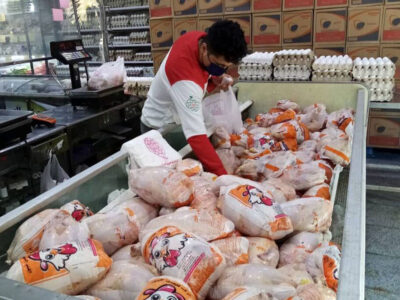 از صادرکننده مرغ به واردکننده بدل شدیم/ تصمیمات دولتی صنعت مرغ را از پای در آورده است