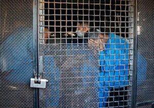 دستگیری ۵ نفر از اراذل نسیم شهر