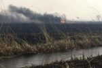 دود آتش‌سوزی هورالعظیم برخی شهرهای خوزستان را فرا گرفت