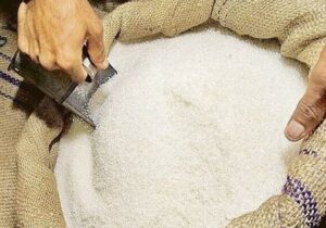 سایه کمبود شکر بر صنعت غذایی کشور| ارزش آفرینی بالا با فرآوری محصولات باغی