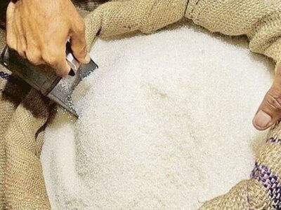 سایه کمبود شکر بر صنعت غذایی کشور| ارزش آفرینی بالا با فرآوری محصولات باغی