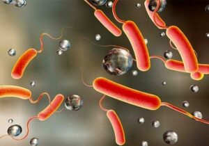 اولین بیمار وبا در کشور شناسایی شد