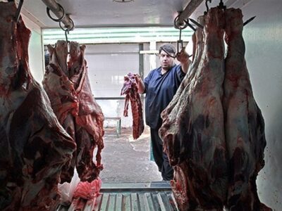 قیمت گوشت شقه گوسفندی در بازار آزاد کیلویی ۴۲۰ هزار تومان