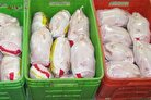 قیمت گوشت مرغ امروز ۱۳ مهر ۱۴۰۲