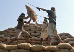 واردات ۵۳۹ میلیون دلار برنج از هند در ۷ ماه/ صادرات ایران به هند ۹ درصد رشد کرد