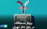 پرواز سنجاقک در بازار دلار تهران