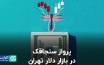 پرواز سنجاقک در بازار دلار تهران