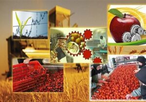 ۵ هزار طرح صنعتی حوزه کشاورزی نیمه کاره رها شده است