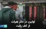 اولین دژ دلار هرات از کف رفت
