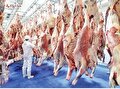 قیمت گوشت گوسفندی امروز ۱۲ آبان ۱۴۰۲