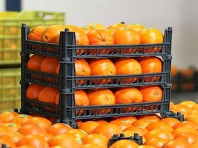 محصولات کشاورزی ایران شناسنامه می‌خواهند