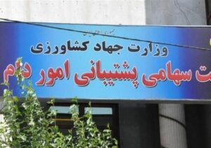 مناقصه ایران برای خرید ۳۰۰ هزار تن ذرت و دانه سویا از بازار جهانی
