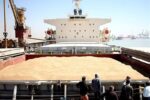 واردات گندم ۳٫۱ میلیون تن کاهش یافت
