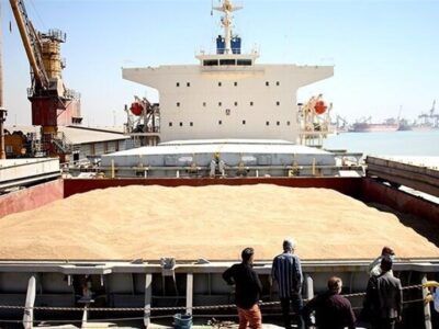 واردات گندم ۳٫۱ میلیون تن کاهش یافت