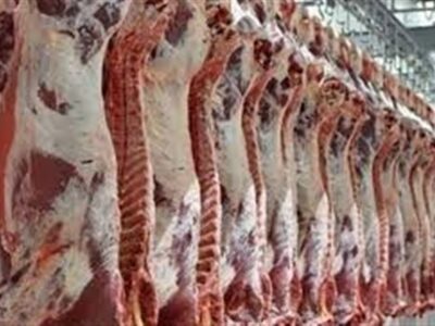 کاهش ۲۹ درصد عرضه گوشت قرمز از کشتارگاه ها در مهر ماه